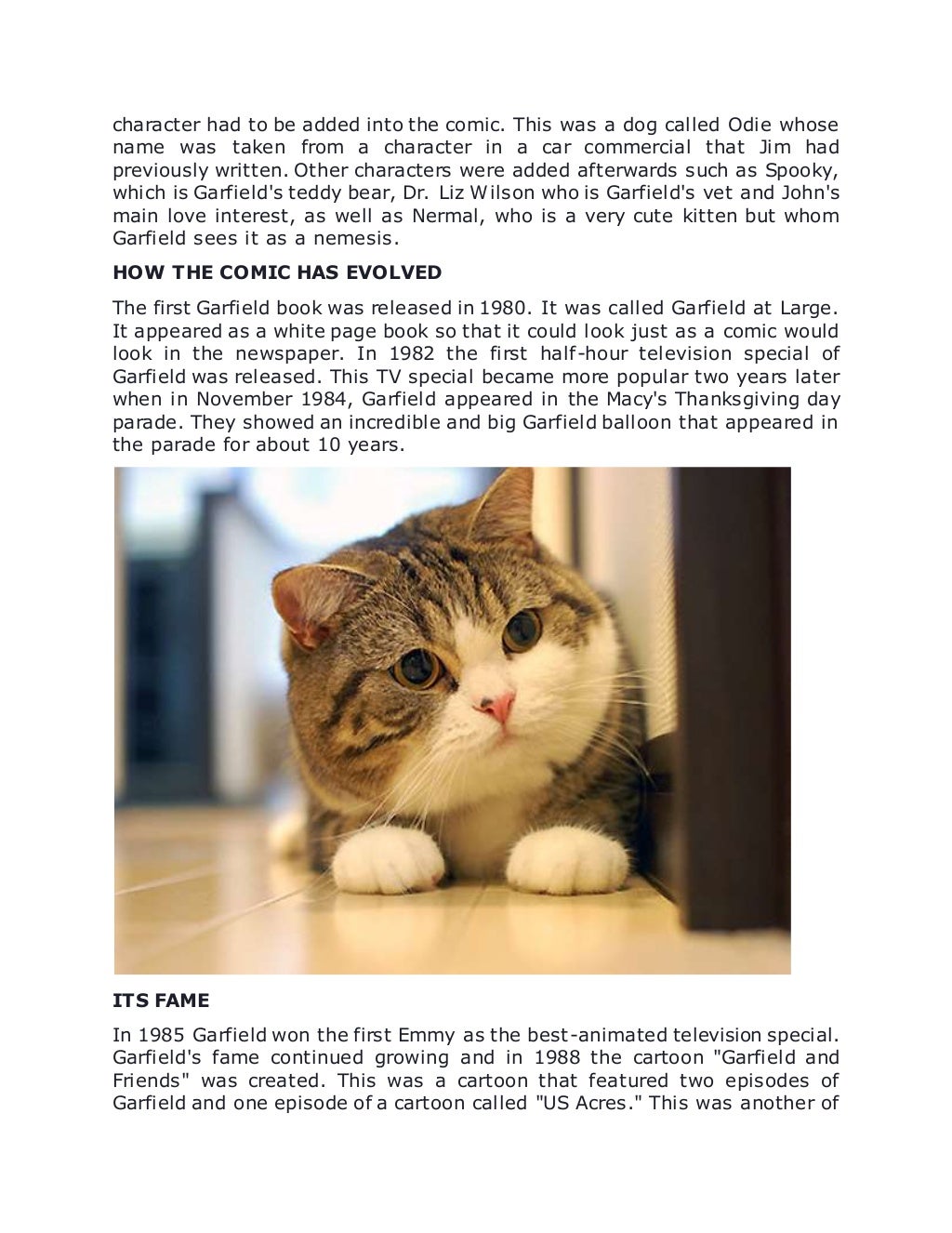 The Most Famous Cat In The World