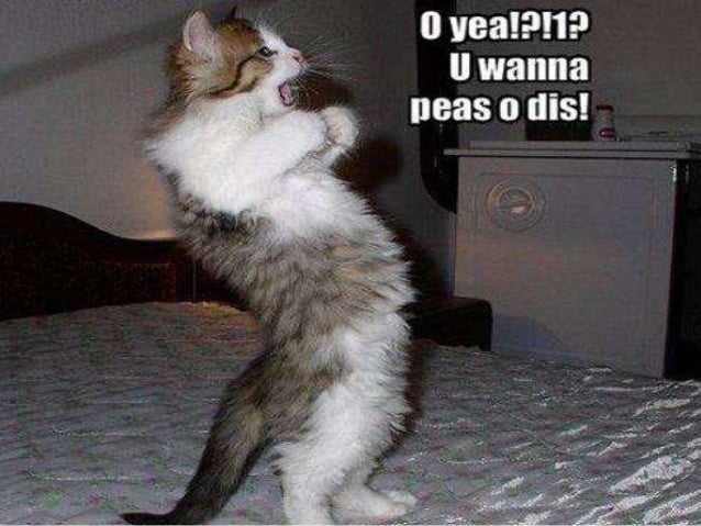 The Most Funny hilarious pictures