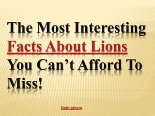 The Most Interesting
Facts About Lions
You Can’t Afford To
Miss!
Netmarkers
 