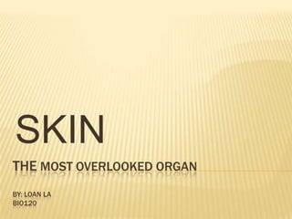 The Most Overlooked organBy: Loan la bio120 SKIN 