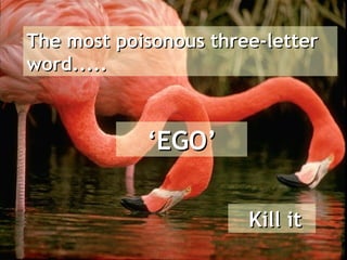 The most poisonous three-letter
word.....



            ‘EGO’

                       Kill it
 