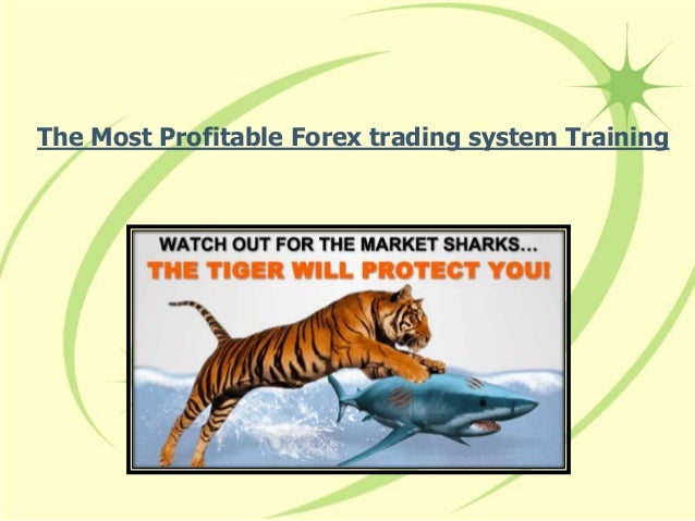Most profitable trading system forex