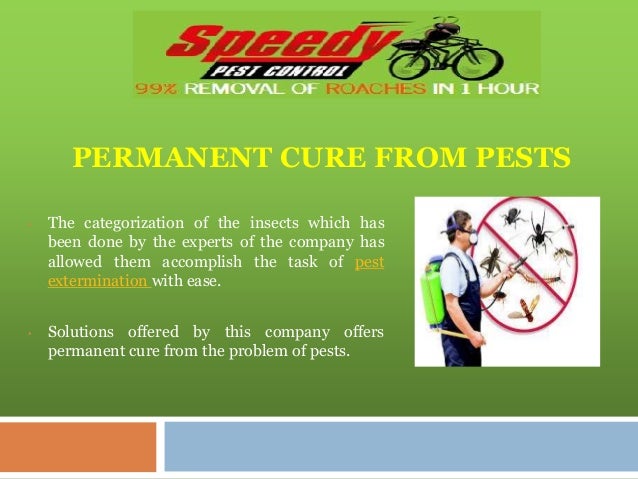 The Most Reliable Company For Pest Control Bedbugs Brampton