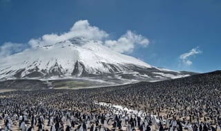 The Most Stunning Photographs from David Attenborough's Planet Earth II