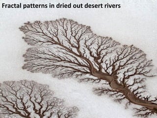 Fractal patterns in dried out desert rivers 
 
