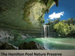 The Hamilton Pool Nature Preserve 
 