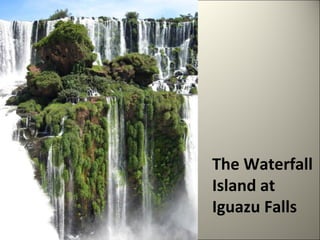 The Waterfall 
Island at 
Iguazu Falls 
 