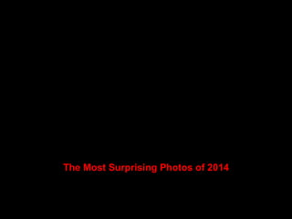 The Most Surprising Photos of 2014
 
