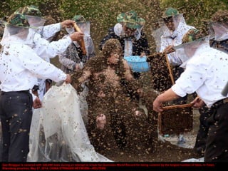 Gao Bingguo is covered with 326,000 bees during an attempt to break the Guinness World Record for being covered by the lar...
