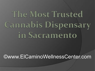 The Most Trusted Cannabis Dispensary in Sacramento ©www.ElCaminoWellnessCenter.com 