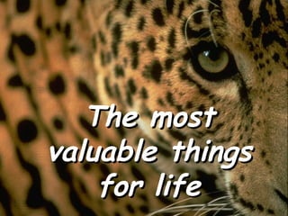 The most valuable things for life 
