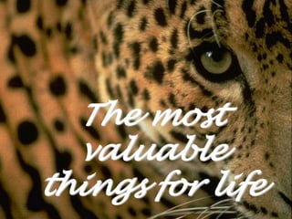 The most
  valuable
things for life
 