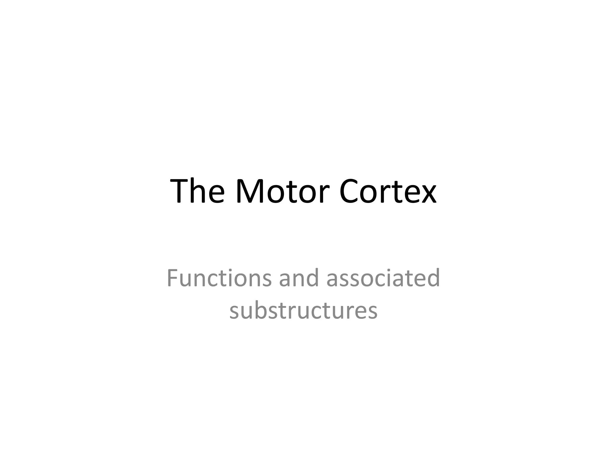 The Motor CortexFunctions and associated substructures
