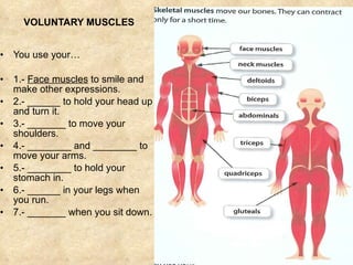 VOLUNTARY MUSCLES You use your… 1.-  Face muscles  to smile and make other expressions. 2.- ______ to hold your head up and turn it. 3.- _______ to move your shoulders. 4.- ________ and ________ to move your arms. 5.- ________ to hold your stomach in. 6.- ______ in your legs when you run. 7.- _______ when you sit down. 