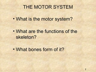 What is the motor system? What are the functions of the skeleton? What bones form of it? THE MOTOR SYSTEM 
