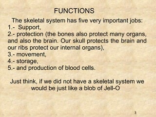 FUNCTIONS The skeletal system has five very important jobs: 1.-  Support,  2.- protection (the bones also protect many organs, and also the brain. Our skull protects the brain and our ribs protect our internal organs),  3.- movement, 4.- storage,  5.- and production of blood cells.  Just think, if we did not have a skeletal system we would be just like a blob of Jell-O .  