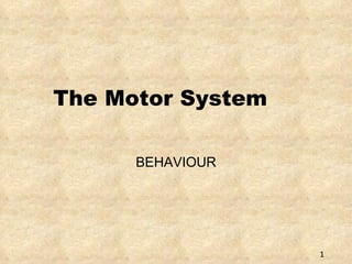 The Motor System BEHAVIOUR 