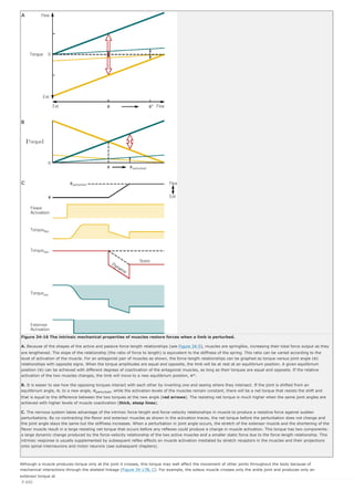 The_Motor_Unit_and_Muscle_Action.pdf