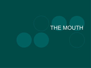 THE MOUTH 