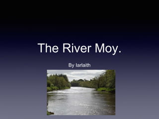 The River Moy.
By Iarlaith