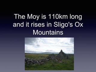 The Moy is 110km long
and it rises in Sligo's Ox
Mountains