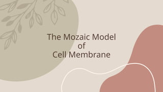 The Mozaic Model_Grade 10 IGCSE ppt lear | PPTX