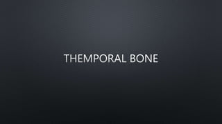 Temporal bone