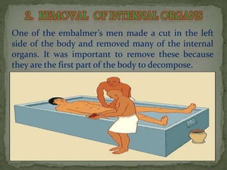 One of the embalmer’s men made a cut in the left 
side of the body and removed many of the internal 
organs. It was important to remove these because 
they are the first part of the body to decompose. 
. 
 