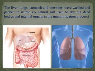 The liver, lungs, stomach and intestines were washed and 
packed in natron (A natural salt used to dry out dead 
bodies and internal organs in the mummification process) 
 