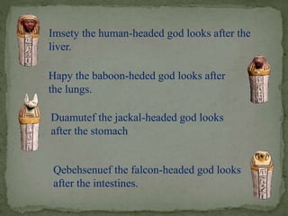 Imsety the human-headed god looks after the 
liver. 
Hapy the baboon-heded god looks after 
the lungs. 
Duamutef the jackal-headed god looks 
after the stomach 
Qebehsenuef the falcon-headed god looks 
after the intestines. 
 