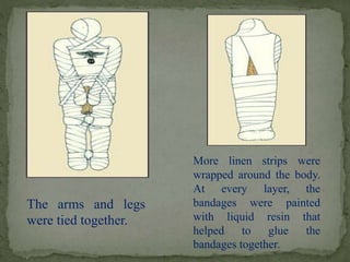 The arms and legs 
were tied together. 
More linen strips were 
wrapped around the body. 
At every layer, the 
bandages were painted 
with liquid resin that 
helped to glue the 
bandages together. 
 