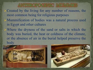 Created by the living for any number of reasons, the 
most common being for religious purposes 
Mummification of bodies was a natural process used 
in Egypt and other cultures 
Where the dryness of the sand or salts in which the 
body was buried, the heat or coldness of the climate, 
or the absence of air in the burial helped preserve the 
body 
 
