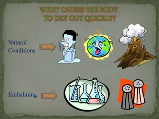 Natural 
Conditions 
Embalming 
 