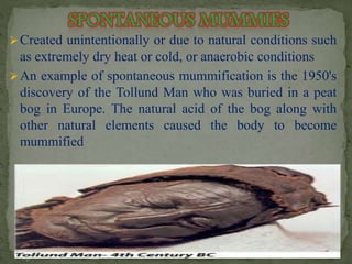 Created unintentionally or due to natural conditions such 
as extremely dry heat or cold, or anaerobic conditions 
An example of spontaneous mummification is the 1950's 
discovery of the Tollund Man who was buried in a peat 
bog in Europe. The natural acid of the bog along with 
other natural elements caused the body to become 
mummified 
 