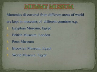 Mummies discovered from different areas of world 
are kept in museums of different countries e.g. 
1. Egyptian Museum, Egypt 
2. British Museum, London 
3. Penn Museum 
4. Brooklyn Museum, Egypt 
5. World Museum, Egypt 
 