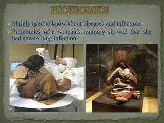 Mainly used to know about diseases and infections 
Proteomics of a woman’s mummy showed that she 
had severe lung infection 
 