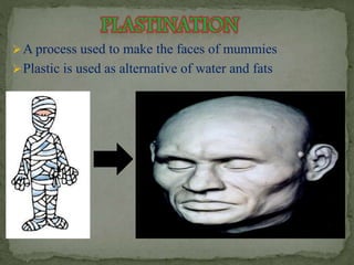 A process used to make the faces of mummies 
 Plastic is used as alternative of water and fats 
 