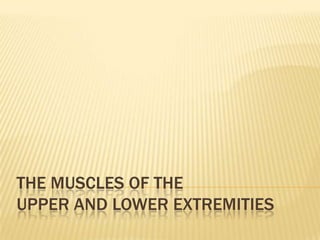 The Muscles of the Upper and Lower Extremities 