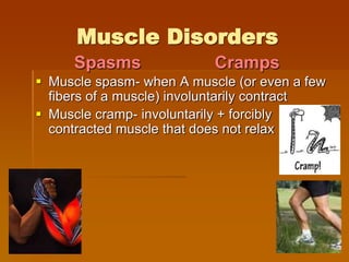 Muscle Disorders
 Muscle spasm- when A muscle (or even a few
fibers of a muscle) involuntarily contract
 Muscle cramp- involuntarily + forcibly
contracted muscle that does not relax
CrampsSpasms
 
