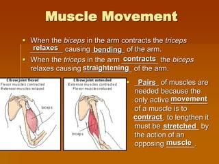 Muscle Movement
 When the biceps in the arm contracts the triceps
________ causing ________ of the arm.
 When the triceps in the arm _________ the biceps
relaxes causing ____________ of the arm.
relaxes
 ______ of muscles are
needed because the
only active _________
of a muscle is to
_______, to lengthen it
must be _________ by
the action of an
opposing _______.
bending
contracts
straightening
Pairs
movement
contract
stretched
muscle
 