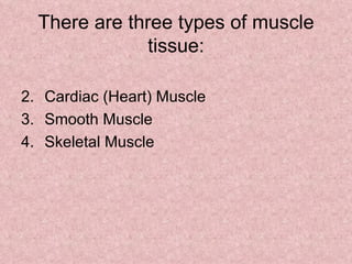 There are three types of muscle tissue: Cardiac (Heart) Muscle Smooth Muscle Skeletal Muscle 