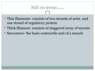 Still on terms...... Thin filaments- consists of two strands of actin  and one strand of regulatory protein Thick filament- consists of staggered array of myosin Sarcomere- the basic contractile unit of a muscle  