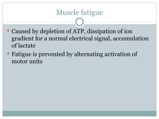 Muscle fatigue Caused by depletion of ATP, dissipation of ion gradient for a normal electrical signal, accumulation of lactate Fatigue is prevented by alternating activation of motor units 