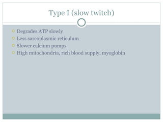 Type I (slow twitch) Degrades ATP slowly Less sarcoplasmic reticulum Slower calcium pumps High mitochondria, rich blood supply, myoglobin 