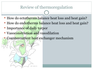 Review of thermoregulation How do ectotherms balance heat loss and heat gain? How do endotherms balance heat loss and heat gain? Importance of daily torpor  Vasoconstriction and vasodilation Countercurrent heat exchanger mechanism 