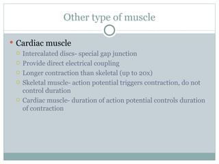 Other type of muscle Cardiac muscle Intercalated discs- special gap junction Provide direct electrical coupling Longer contraction than skeletal (up to 20x) Skeletal muscle- action potential triggers contraction, do not control duration Cardiac muscle- duration of action potential controls duration of contraction 