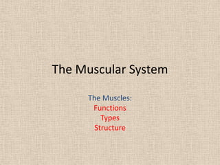 The Muscular System

     The Muscles:
      Functions
         Types
       Structure
 