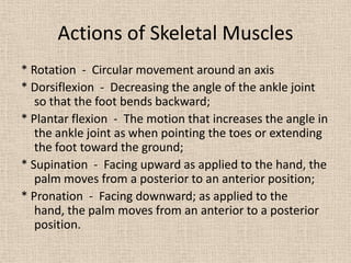 The muscular system | PPTX