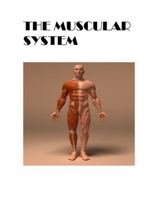 THE MUSCULAR
SYSTEM
 