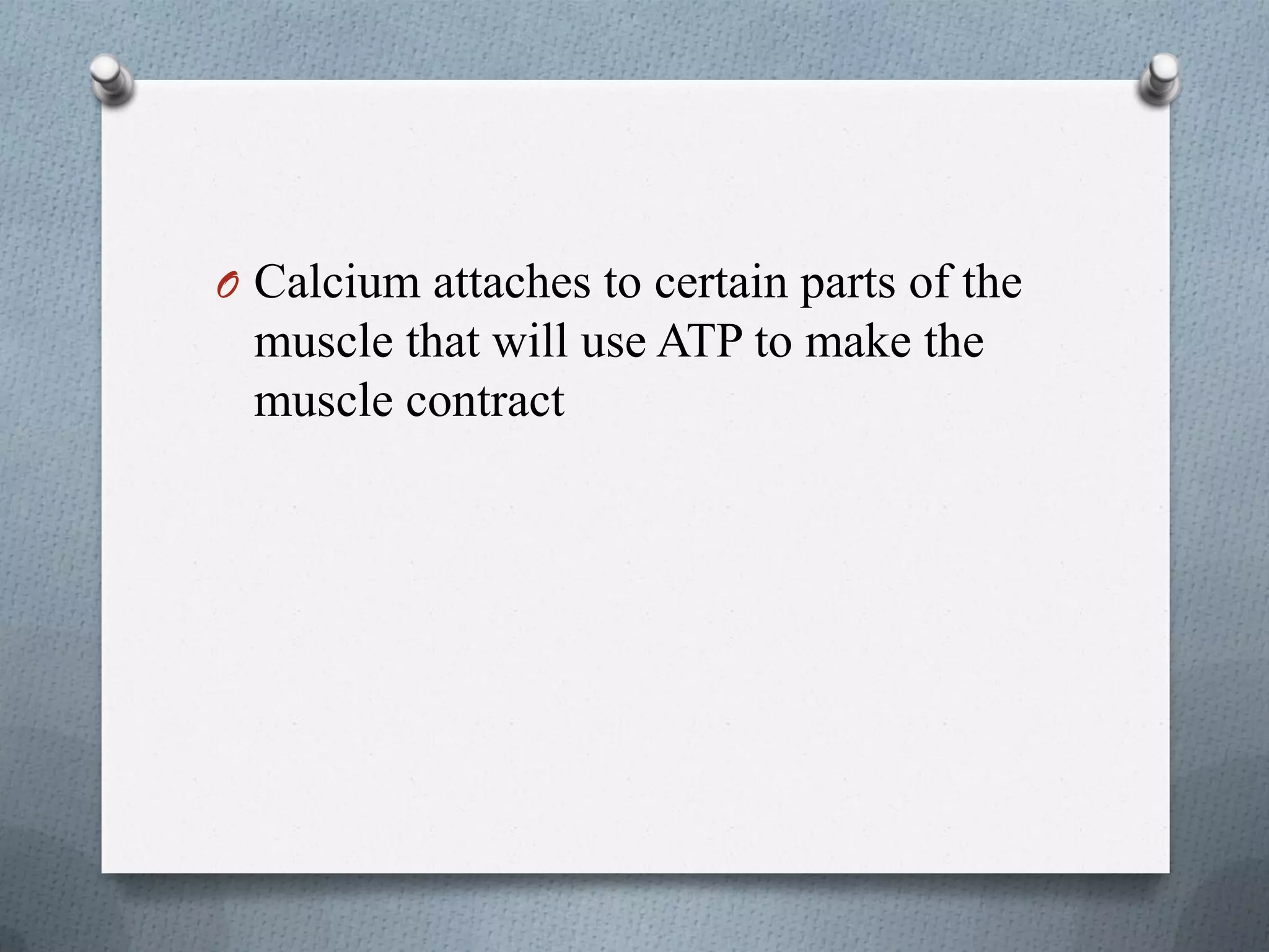 The muscular system | PDF